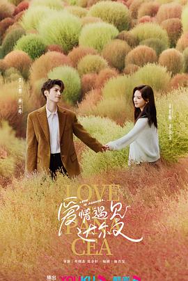 纺织seo优化学习